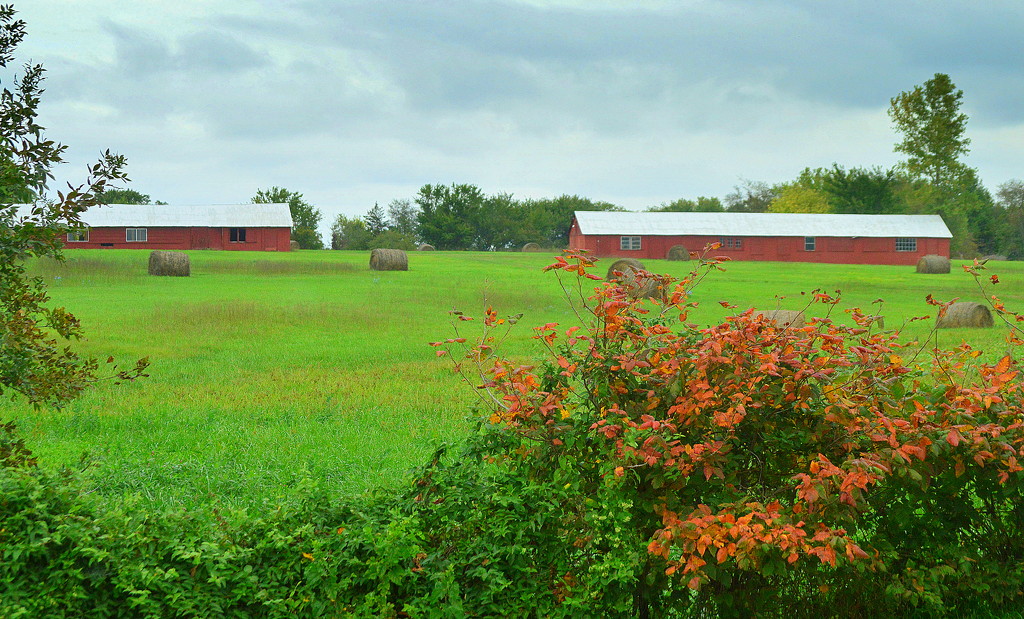 Twin Barns by kareenking