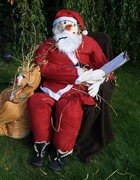 20th Sep 2014 - Santa Scarecrow? Photo 1300 and yet only 6/52