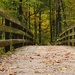 Bridging into Autumn Color by alophoto