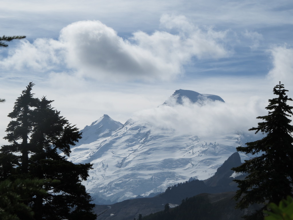 091 Mount Baker by seattlite