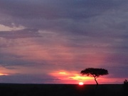 3rd Oct 2014 - Sunset over the Masai Mara