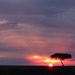 Sunset over the Masai Mara by pusspup
