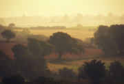 3rd Oct 2014 - just another misty morning