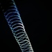 Slinky by kwind