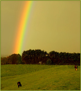 4th Oct 2014 - The pot of gold