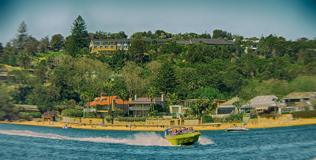 Camp Cove - view from Sydney Harbour by annied
