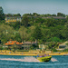 Camp Cove - view from Sydney Harbour by annied