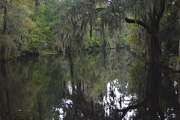 4th Oct 2014 - Reflections in the lake at Magnolia Gardens, Charleston, SC