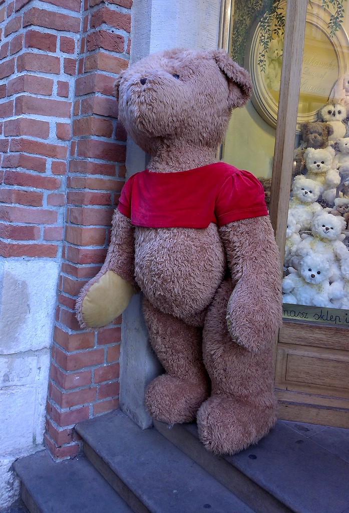 Teddy by pavlina