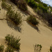 Dunes by gosia