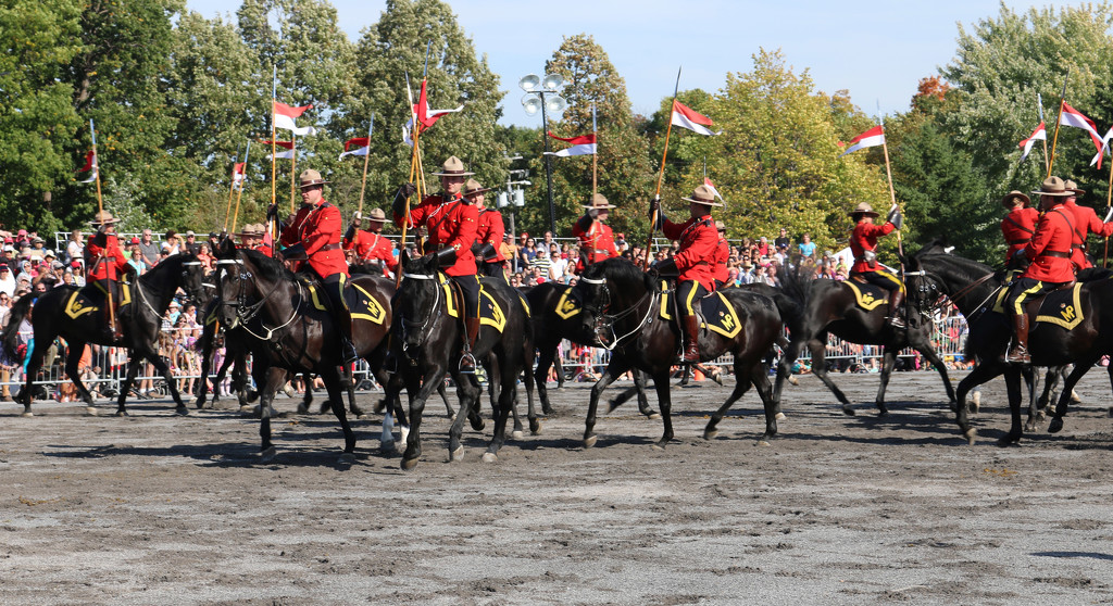 RCMP Musical Ride by hellie