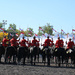 RCMP Musical Ride  by hellie