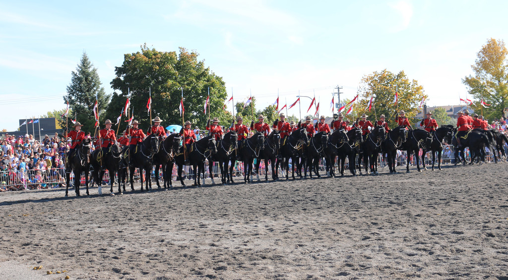 RCMP musical Ride  by hellie