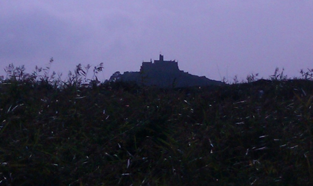St Michaerl's Mount from Marazion marshes by jennymdennis