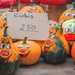 Kurbis...Halloween is coming... by bizziebeeme