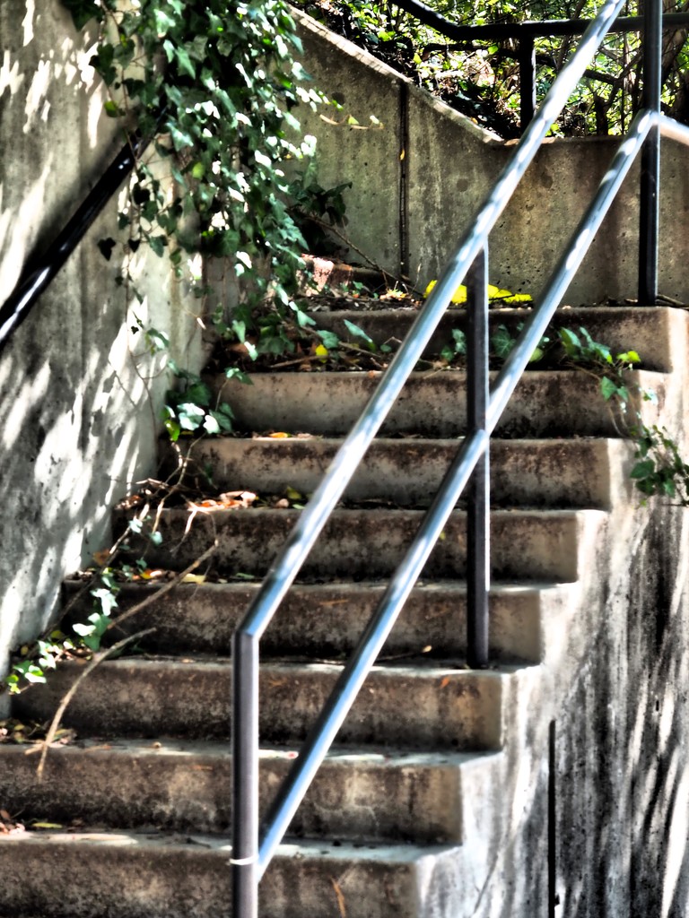 Stairway by rosiekerr
