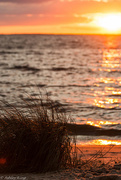 4th Oct 2014 - Cove beach sunset