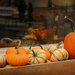 It's Pumpkin Time! by alophoto