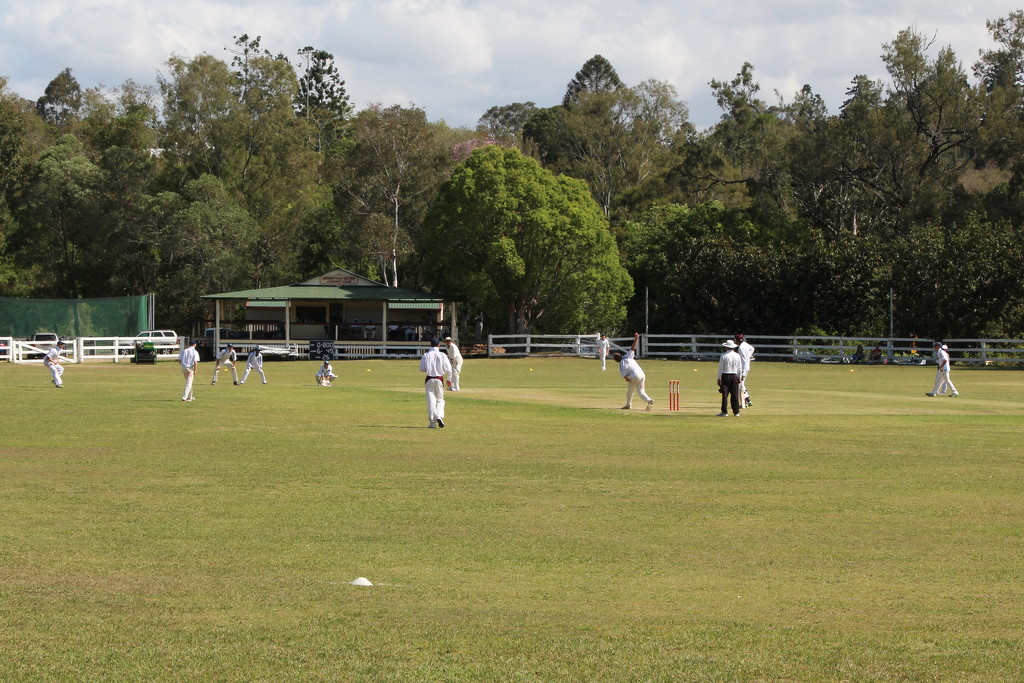 My Brisbane 52 - Cricket on the Village Ground by terryliv