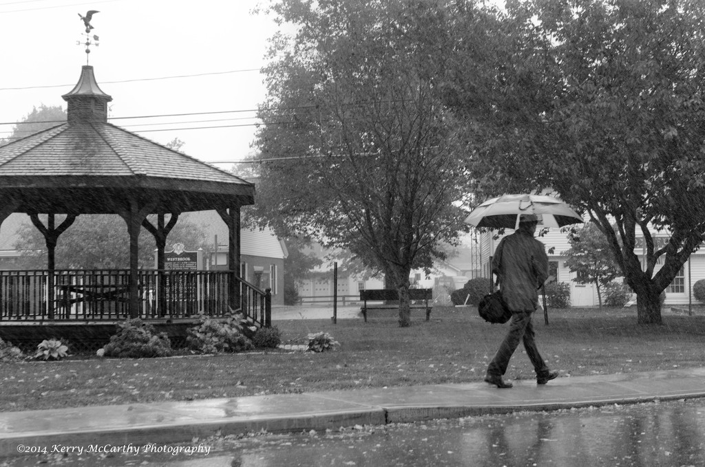 Walking in the rain by mccarth1