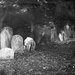 cemetary by blueberry1222
