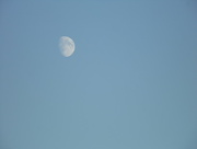 4th Oct 2014 - The Moon