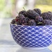 Mulberries sooc by corymbia