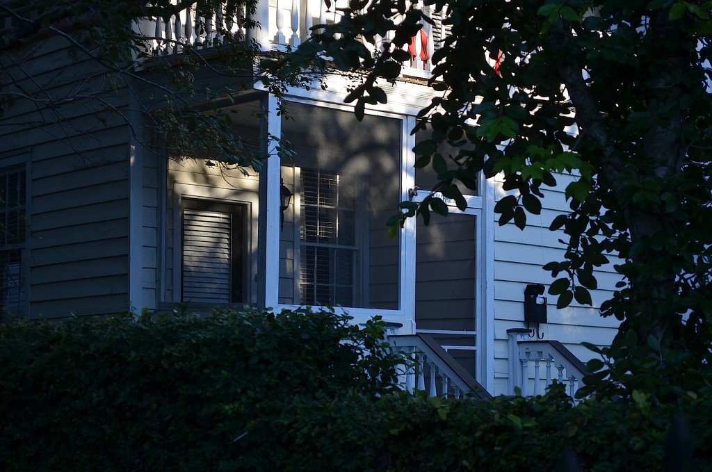 Shadows and light, historic district, Charleston, SC by congaree