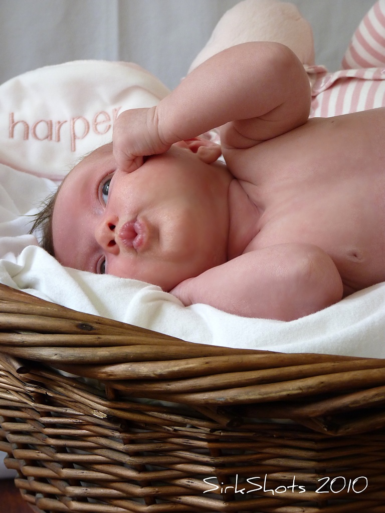 Harper at One Month by peggysirk