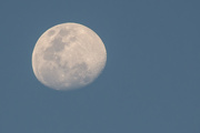 5th Oct 2014 - Moon at sunset