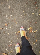 7th Oct 2014 - Walking shoefie. 