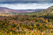 3rd Oct 2014 - View from Oberg Mt.