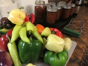 6th Oct 2014 - Canning pepper relish