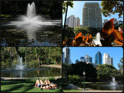 6th Oct 2014 - City Botanic Gardems Fountain