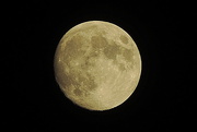 6th Oct 2014 - It's a big, big moon!