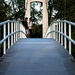 Bridge to Love by rosiekerr