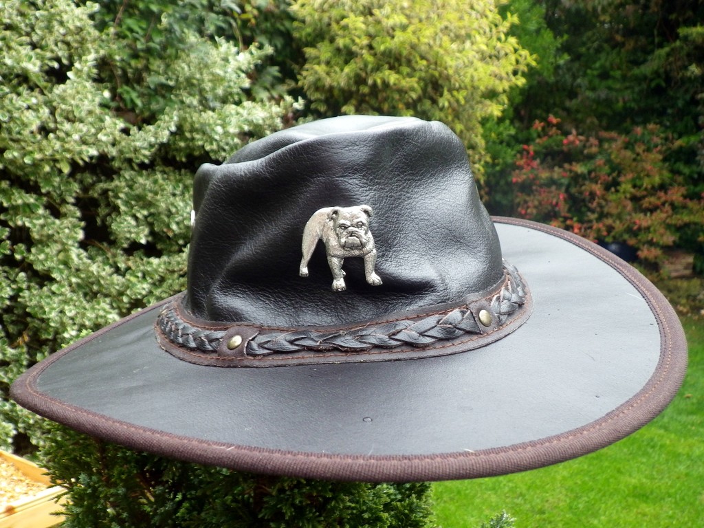 Oct 06: Hat by bulldog