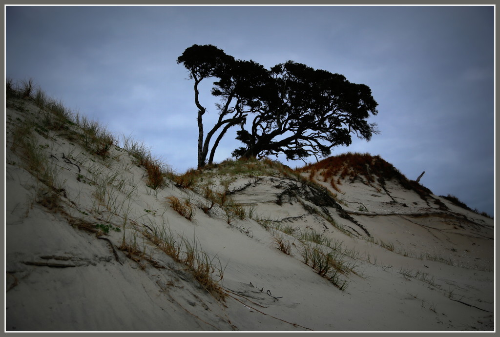 Dunes by dide