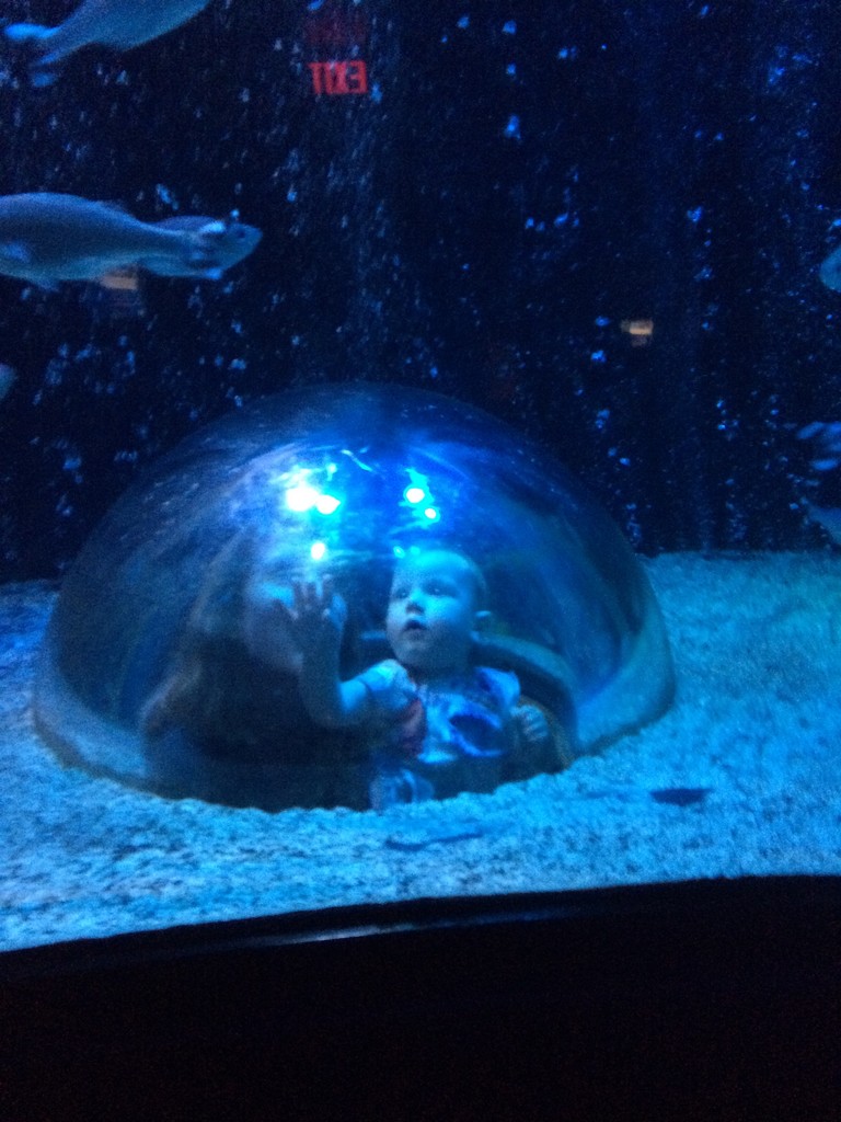 Loves the aquarium  by doelgerl