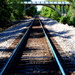 Tracks Headed North by genealogygenie