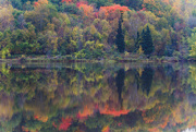 7th Oct 2014 - Fall Reflections; St. Louis River