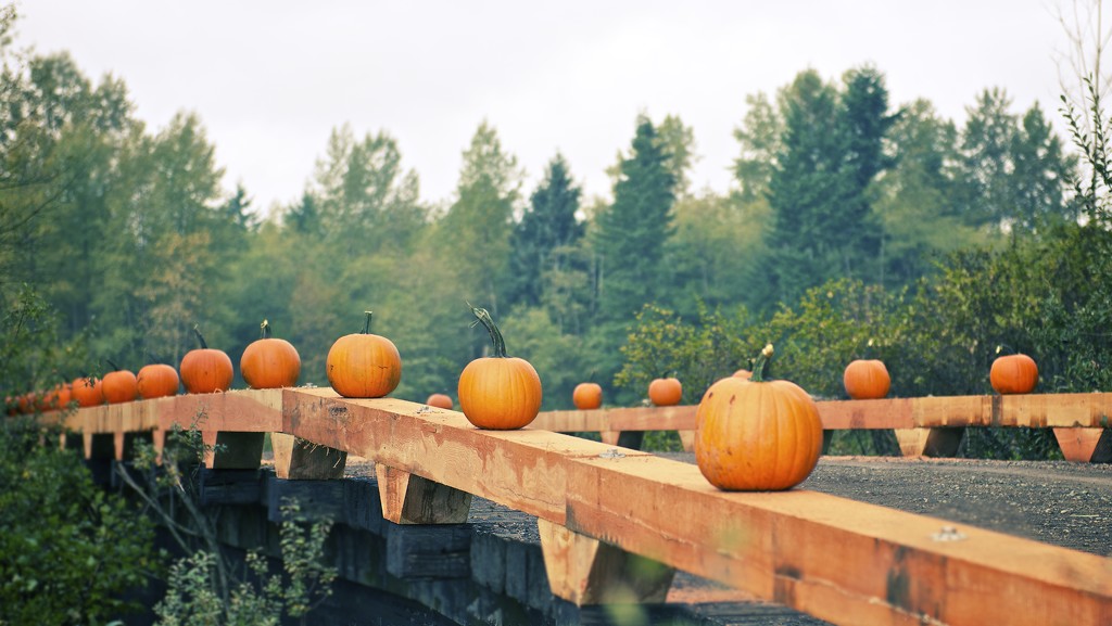 Pumpkin Bridge by kwind
