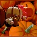 October Words- Pumpkin by olivetreeann