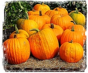 8th Oct 2014 - for 'pumpkin'