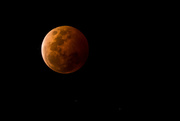8th Oct 2014 - Red moon