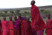 8th Oct 2014 - Maasai men dancing