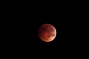 8th Oct 2014 - Blood moon