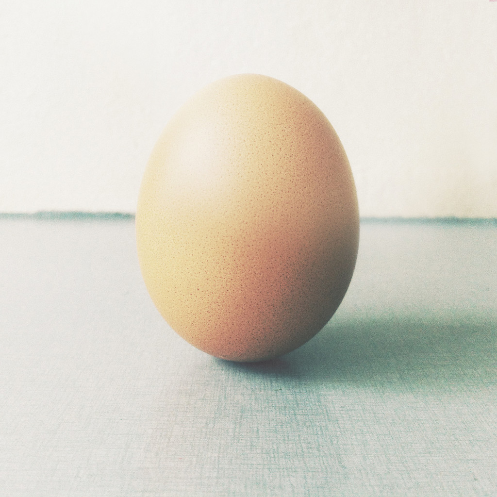 Egg by mastermek