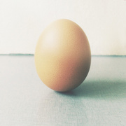 10th Oct 2014 - Egg