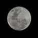 Moon 8th October 2014 by salza